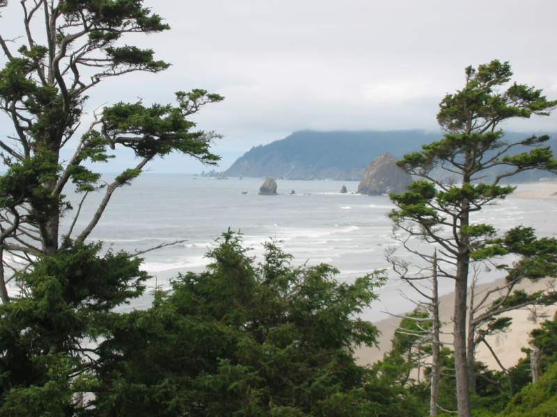 <i><b>133-Cannon Beach</b></i>